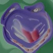Zoopals G Major 2401