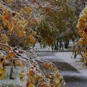 Melodiya Oseni Мелодия Осени Саксофон