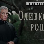 Оливковая Роща