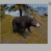 Rust Bear Sound Effects Sfx