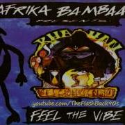 I Want The Vibe Extended