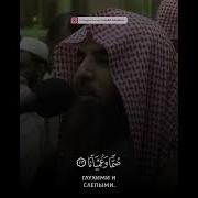 Сура 25 Различение Аяты 72 75 Чтец Мухаммад Аль Люхайдан