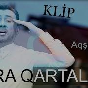 Aqsin Fateh Qara Qartal