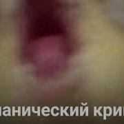 Школьник Орет Как Долбаеб