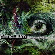 Pendulum Fasten Your Seatbelts