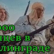 Василий Зайцев