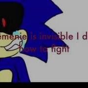 Sonic Echo Meme
