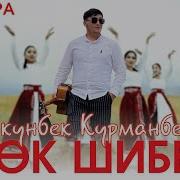 Көк Шибер