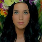 Roar Katy Perry