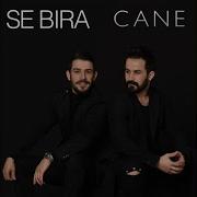Sera Bira Cane