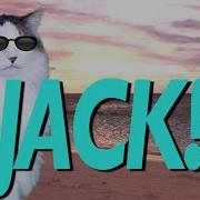 Happy Birthday Jack Epic Cat Happy Birthday Song