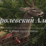 Королевский Алень Королевский Олень История Олега Doc A Меганыч101 Storyes