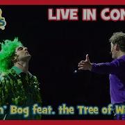 Wiggles Dance Liv