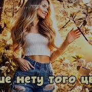 Лучше Нету Того Цвету Modern Pop Style Поёт Klava Zimina Музыка Dj Nafanya Sea Svelmusic