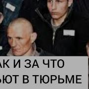 Бьют Как Собственных Ишаков