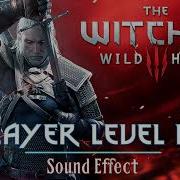 Level Up Sound Effect Witcher