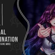 M19 Kanimiso P Bacterial Contamination Buruburup Arrange Rus