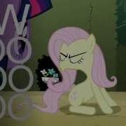 Pmv Assertive Fluttershy Boo Hoo Silva Hound Remix