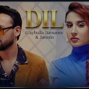 Jasmin Dil