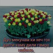 Таваллудат Муборак Писар