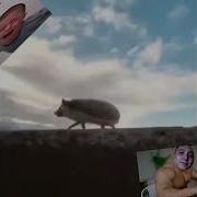 А Ежики Ебуться