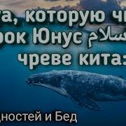 Дуа Юсуфа В Чреве Кита