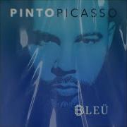 Pinto Picasso Señal Feat Vikina