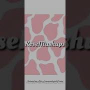 September Rose Tiktok Version