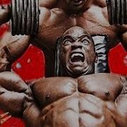 Bodybuilding Till Im Dead Hungry