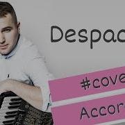 Despacito Luis Fonsi Accordion Cover