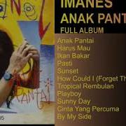 Imanes Anak Pantai 1994 Full Album