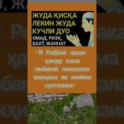 Duolar To Plami Kitobi