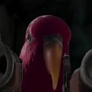 Пираты Карибского Моря Мем С Попугаем