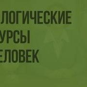 Биологические Ресурсы И Человек Видеоурок По Географии 8 Класс