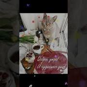 Я Желаю Друзья Чистого Синего Неба
