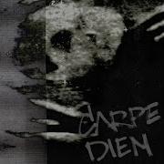 Sted D Carpe Diem Minus