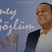 Zakir Eliyev Guney Gozlum