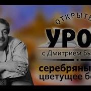 Быков Лекции