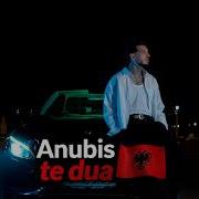 Anubis Te Iubesc