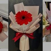 Gerbera 888