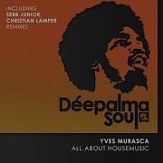 All About Housemusic Sebb Junior Remix