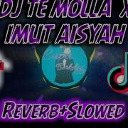 Dj Te Molla X Mashup Aisyah Pokemon Mengkane
