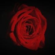 Romantic Turkish Music