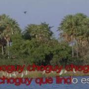 Pájaro Choguy