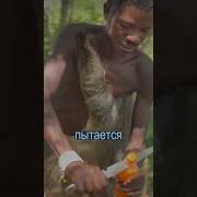 Дикий Кола