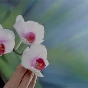 Музыка Из Рекламы Баунти