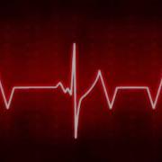 Snooddood Heartbeat