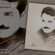 ماجد الراشد والي