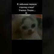 Появился Значит В Зоне Черный Сталкер Оригинал