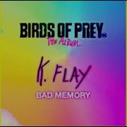 Bad Memory K Flay Instrumental